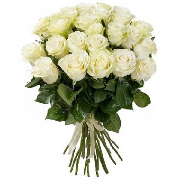 Sumptuous Bunch white roses